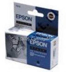 Epson T015091 (T015) Black 