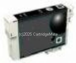 *Epson T073190 Black 