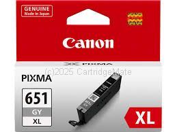 Canon CLI-651GYXL Grey Extra Large - Original