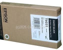 Epson T5631 (T603100) Photo Black 
