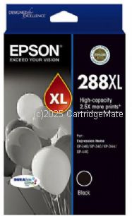 Epson T306192 (288XL) Black High Yield 
