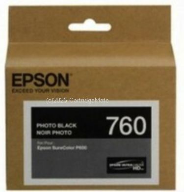 Epson T760100 Photo Black Inkjet 