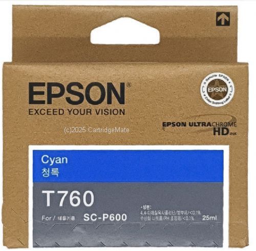 Epson T760200 Cyan Inkjet 