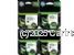 Hewlett Packard CN053 Value Pack Extra Large (4) - Original 