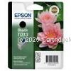 Epson T013091 (T013) Black 